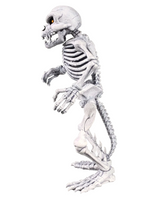 Premium DNA - Battletoads - Rat Bones