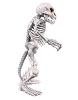 Premium DNA - Battletoads - Rat Bones