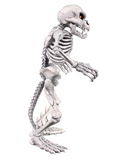Premium DNA - Battletoads - Rat Bones