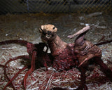 NECA: The Thing- Ultimate Dog Creature Set