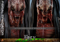 Hot Toys: Prey- Feral Predator *Pre-order*