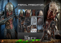 Hot Toys: Prey- Feral Predator *Pre-order*