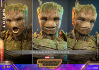 Hot Toys: GotG vol 3- Deluxe Groot *Pre-order*