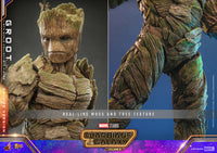 Hot Toys: GotG vol 3- Deluxe Groot *Pre-order*