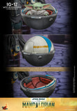 Hot Toys- IG 12 with Accessories