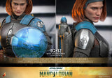 Hot Toys- IG 12 with Accessories