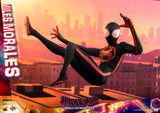 Hot Toys: Across the Spider-verse- Miles Morales *Pre-order*