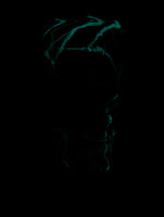 Pint Glass - Star Wars - Choose Wisely (Glow)
