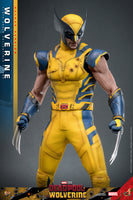 Hot Toys: Deadpool & Wolverine- Wolverine (Deluxe) *Pre-order*