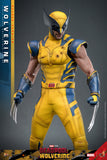 Hot Toys: Deadpool & Wolverine- Wolverine (Deluxe) *Pre-order*