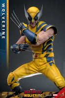 Hot Toys: Deadpool & Wolverine- Wolverine (Deluxe) *Pre-order*