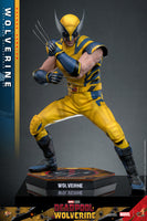 Hot Toys: Deadpool & Wolverine- Wolverine (Deluxe) *Pre-order*