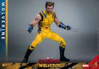Hot Toys: Deadpool & Wolverine- Wolverine (Deluxe) *Pre-order*