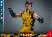 Hot Toys: Deadpool & Wolverine- Wolverine (Deluxe) *Pre-order*
