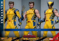 Hot Toys: Deadpool & Wolverine- Wolverine (Deluxe) *Pre-order*
