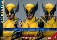 Hot Toys: Deadpool & Wolverine- Wolverine (Deluxe) *Pre-order*