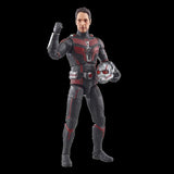 Marvel Legends: Cassie Lang BAF- Ant Man